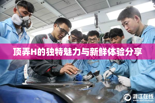 顶弄H的独特魅力与新鲜体验分享