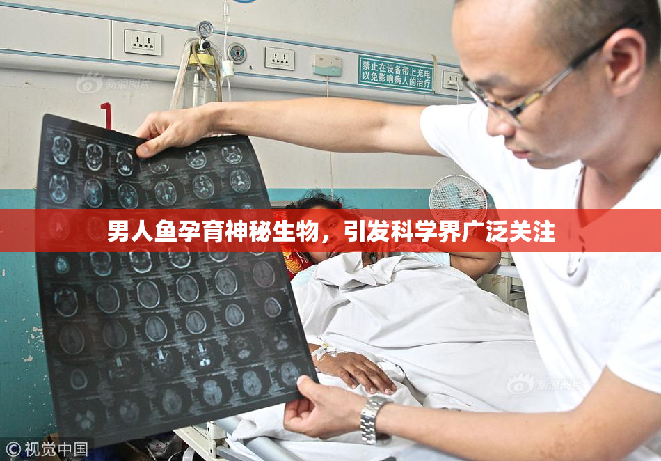 男人鱼孕育神秘生物，引发科学界广泛关注