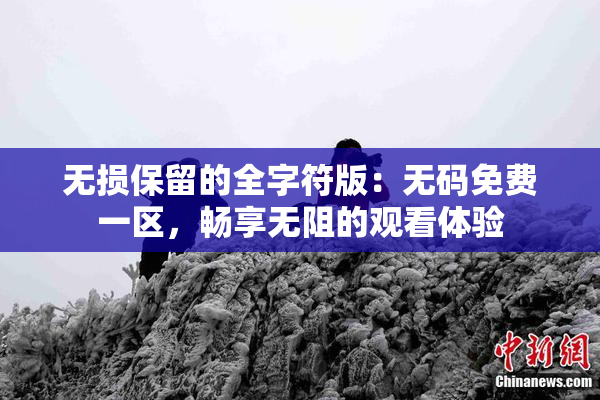 无损保留的全字符版：无码免费一区，畅享无阻的观看体验