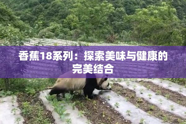 香蕉18系列：探索美味与健康的完美结合
