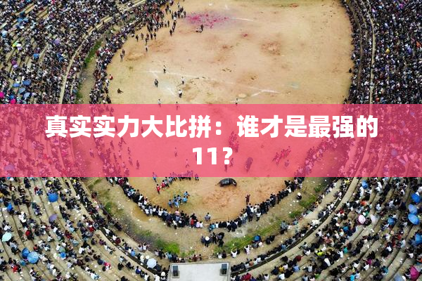 真实实力大比拼：谁才是最强的11？