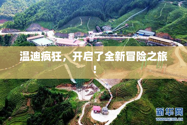 温迪疯狂，开启了全新冒险之旅！