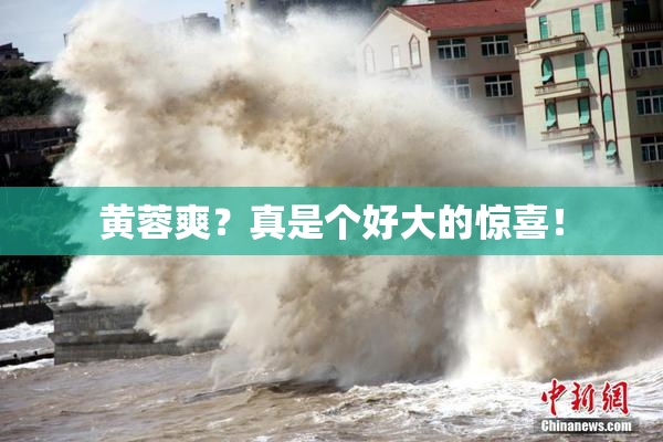 黄蓉爽？真是个好大的惊喜！