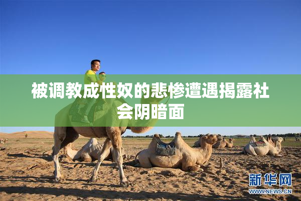 被调教成性奴的悲惨遭遇揭露社会阴暗面