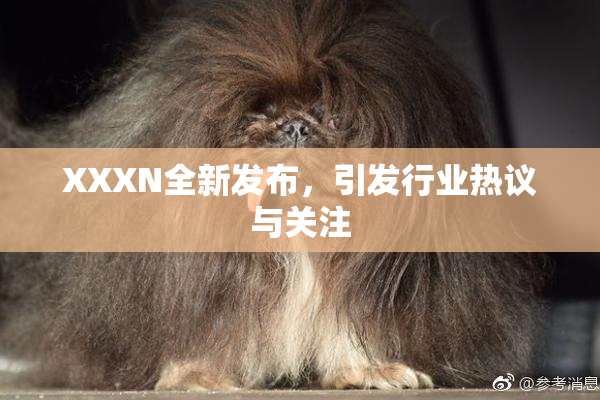 XXXN全新发布，引发行业热议与关注