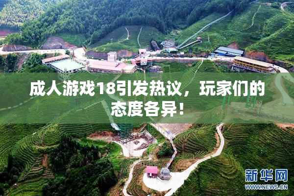 成人游戏18引发热议，玩家们的态度各异！