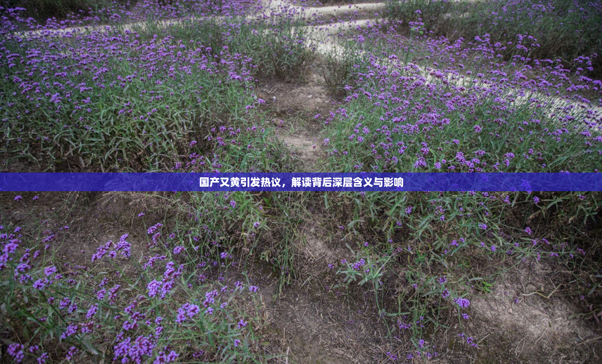 国产又黄引发热议，解读背后深层含义与影响
