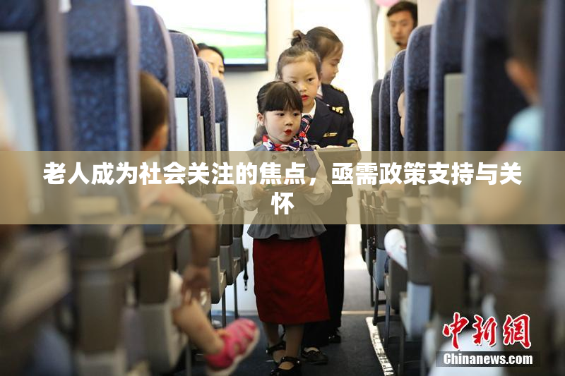 老人成为社会关注的焦点，亟需政策支持与关怀