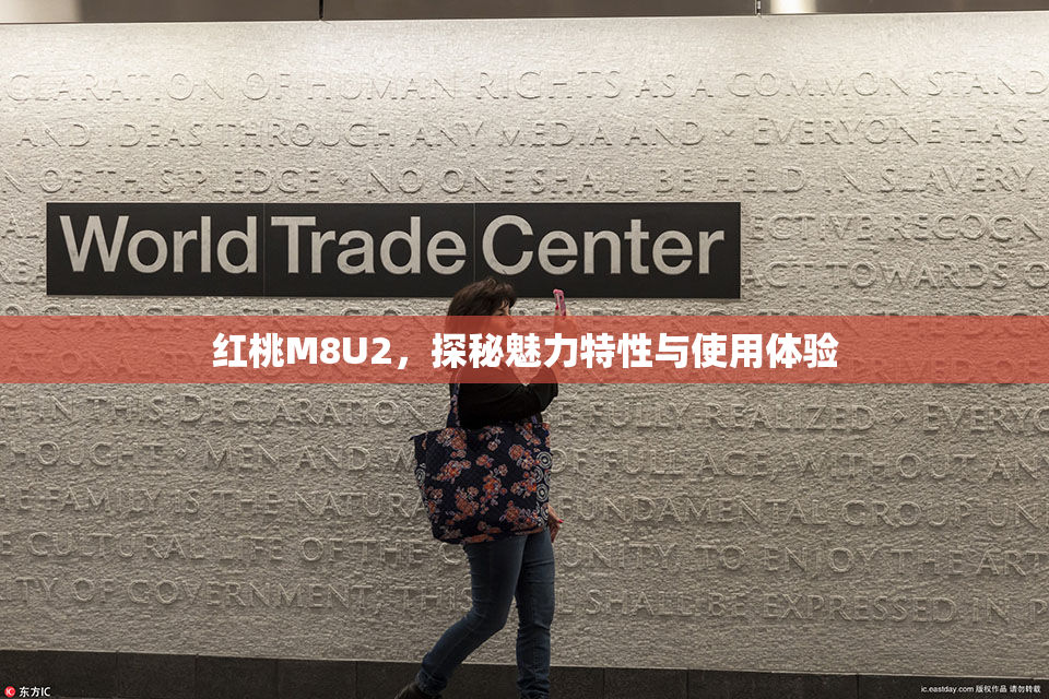 红桃M8U2，探秘魅力特性与使用体验