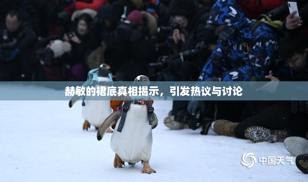 赫敏的裙底真相揭示，引发热议与讨论