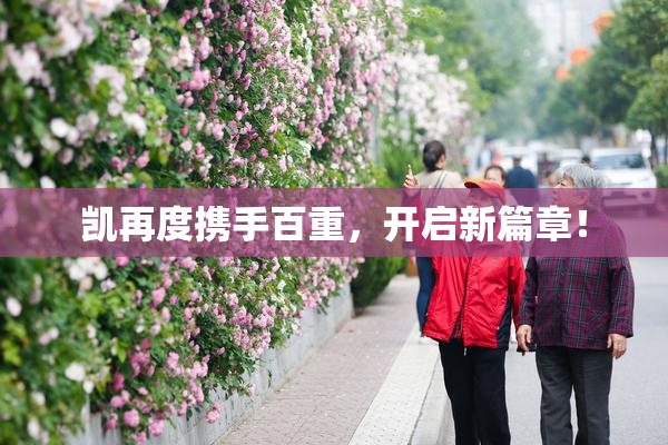 凯再度携手百重，开启新篇章！