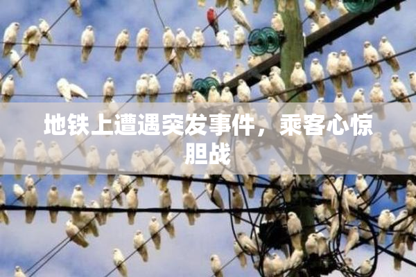地铁上遭遇突发事件，乘客心惊胆战
