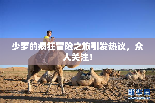 少萝的疯狂冒险之旅引发热议，众人关注！