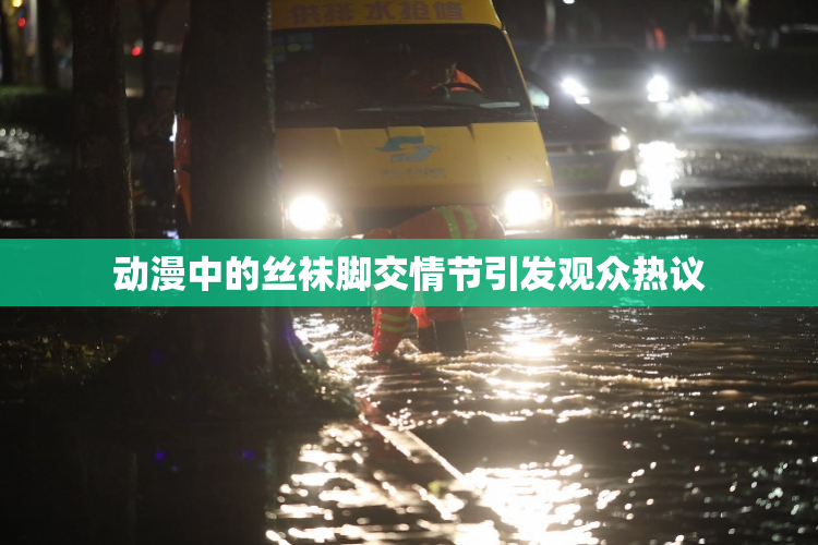 动漫中的丝袜脚交情节引发观众热议
