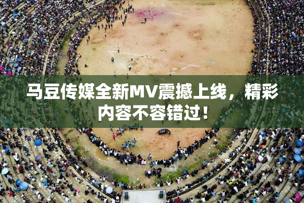 马豆传媒全新MV震撼上线，精彩内容不容错过！