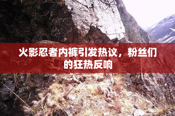 火影忍者内裤引发热议，粉丝们的狂热反响