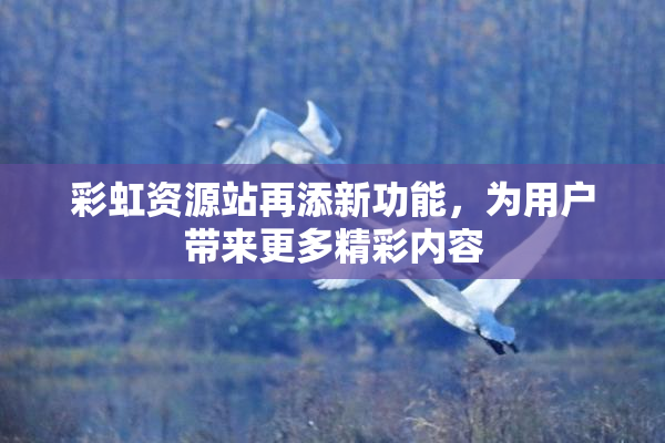 彩虹资源站再添新功能，为用户带来更多精彩内容