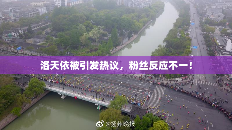 洛天依被引发热议，粉丝反应不一！