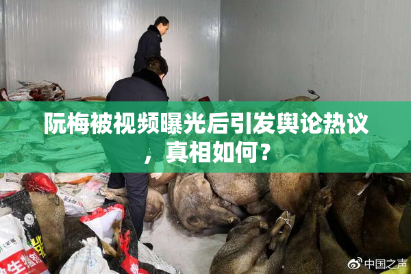 阮梅被视频曝光后引发舆论热议，真相如何？