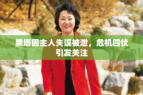 黑塔因主人失误被泄，危机四伏引发关注