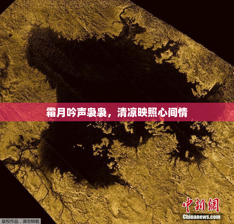 霜月吟声袅袅，清凉映照心间情