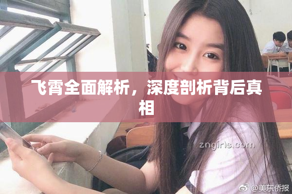 飞霄全面解析，深度剖析背后真相
