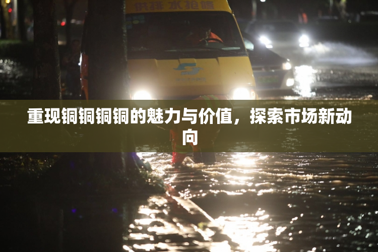 重现铜铜铜铜的魅力与价值，探索市场新动向