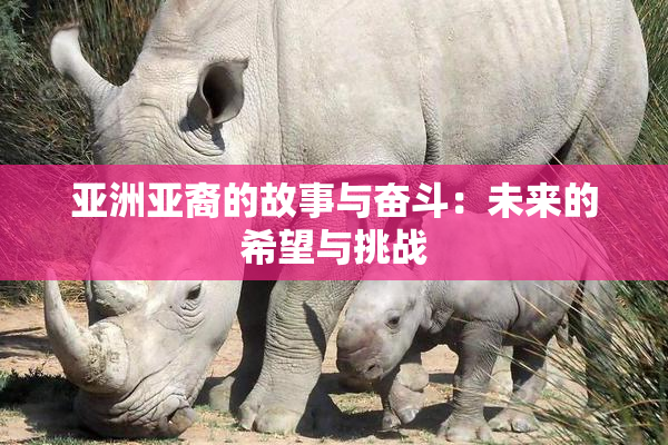 亚洲亚裔的故事与奋斗：未来的希望与挑战