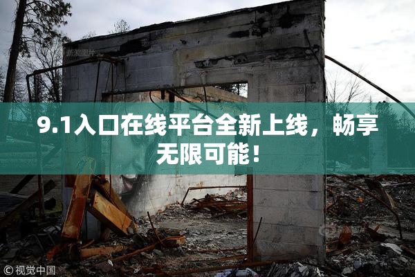 9.1入口在线平台全新上线，畅享无限可能！