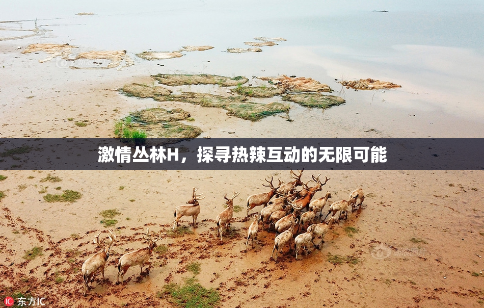 激情丛林H，探寻热辣互动的无限可能