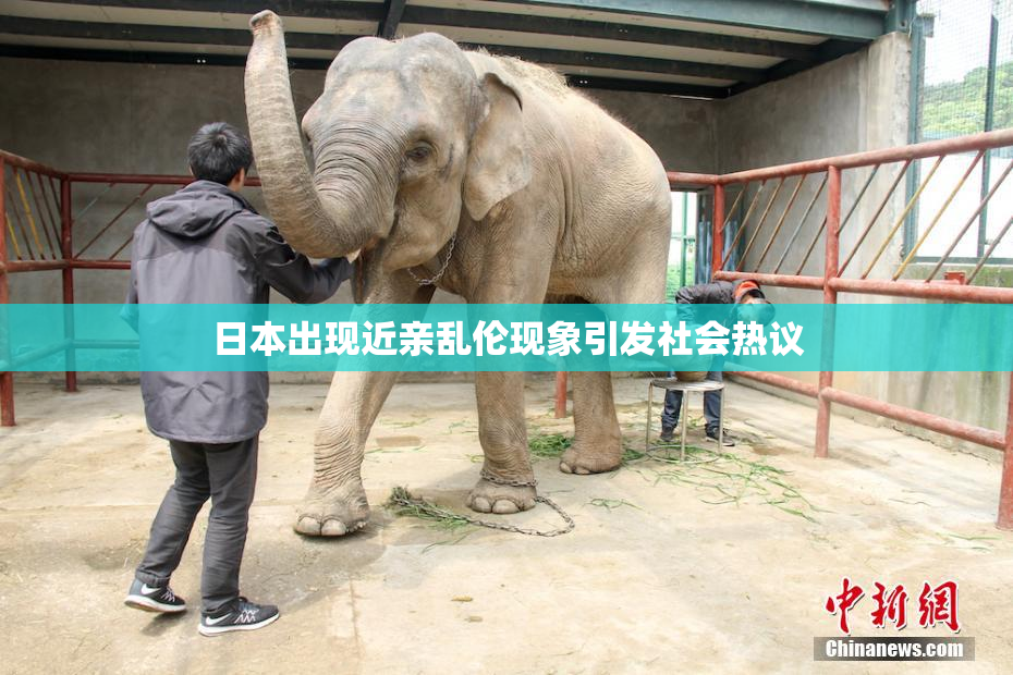日本出现近亲乱伦现象引发社会热议