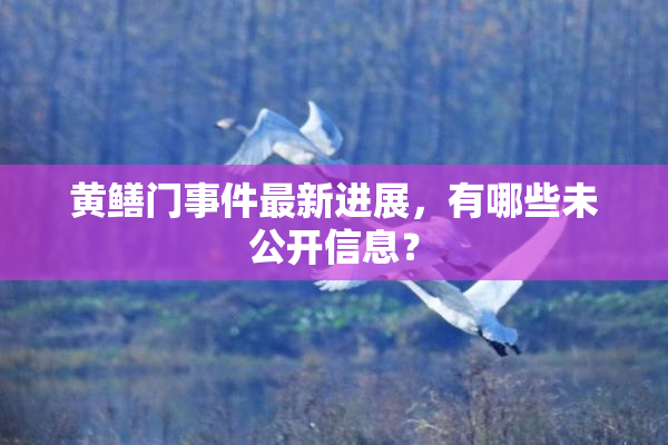黄鳝门事件最新进展，有哪些未公开信息？