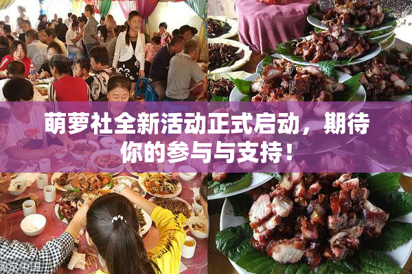 萌萝社全新活动正式启动，期待你的参与与支持！