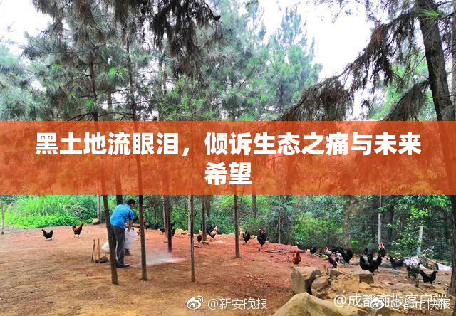 黑土地流眼泪，倾诉生态之痛与未来希望