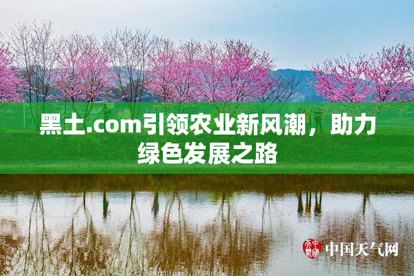 黑土.com引领农业新风潮，助力绿色发展之路