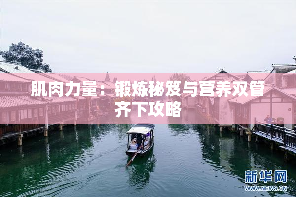 肌肉力量：锻炼秘笈与营养双管齐下攻略