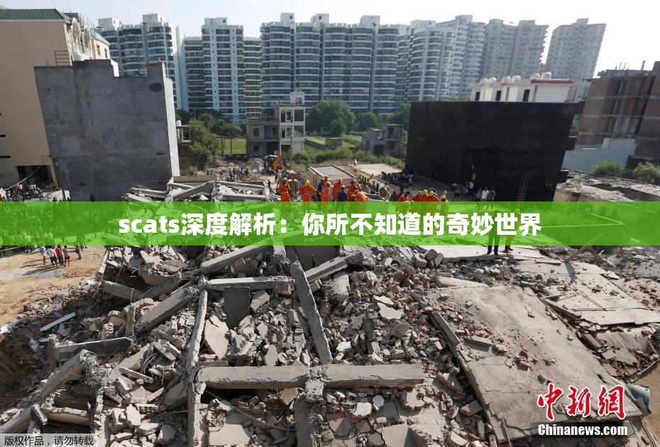 scats深度解析：你所不知道的奇妙世界
