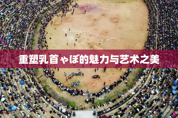 重塑乳首ゃぼ的魅力与艺术之美