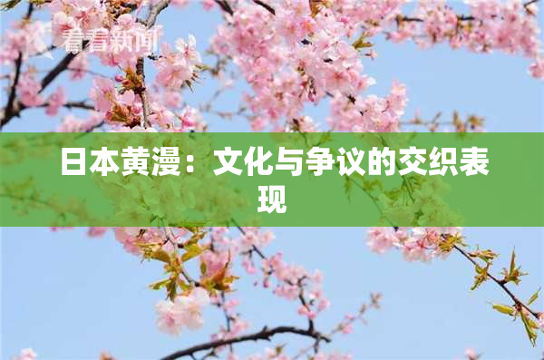 日本黄漫：文化与争议的交织表现
