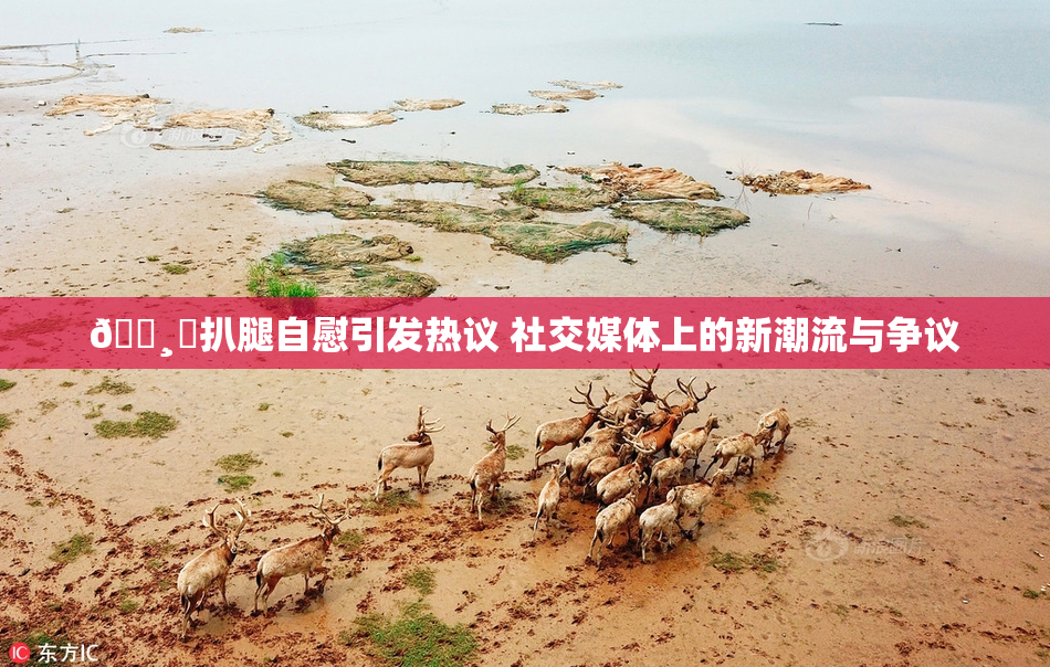 🌸‌扒腿自慰引发热议 社交媒体上的新潮流与争议