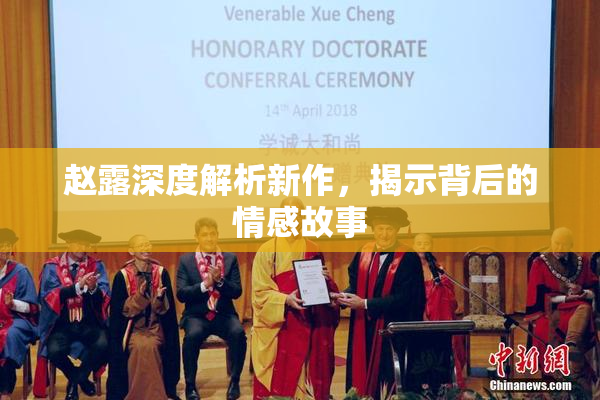 赵露深度解析新作，揭示背后的情感故事