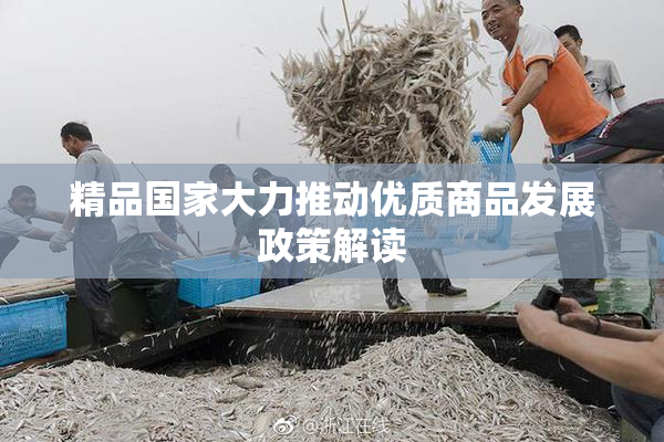 精品国家大力推动优质商品发展政策解读