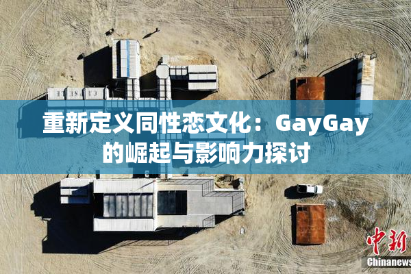 重新定义同性恋文化：GayGay的崛起与影响力探讨