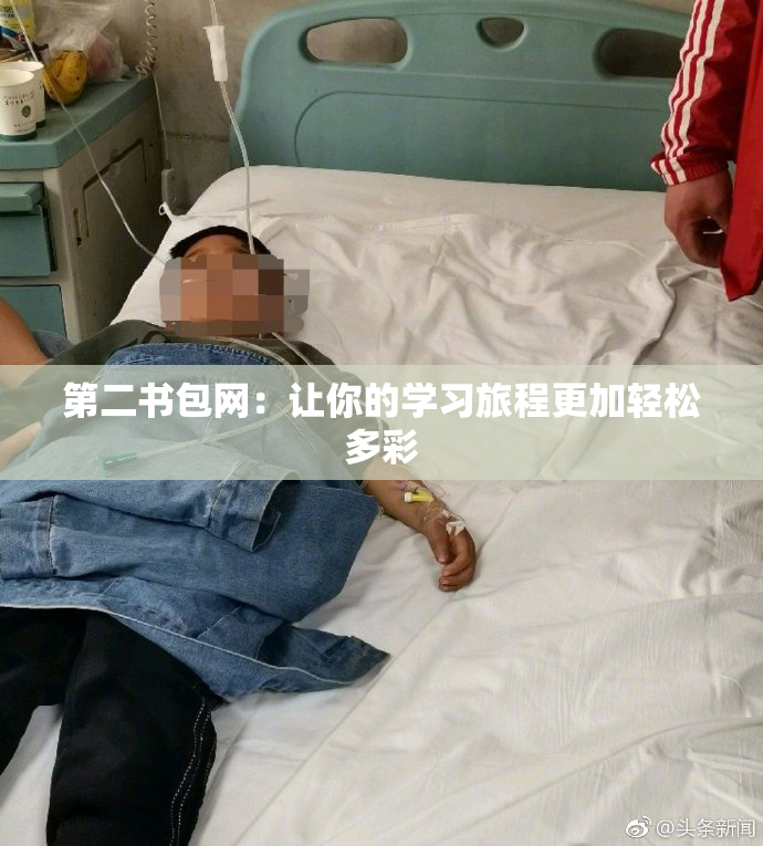 第二书包网：让你的学习旅程更加轻松多彩