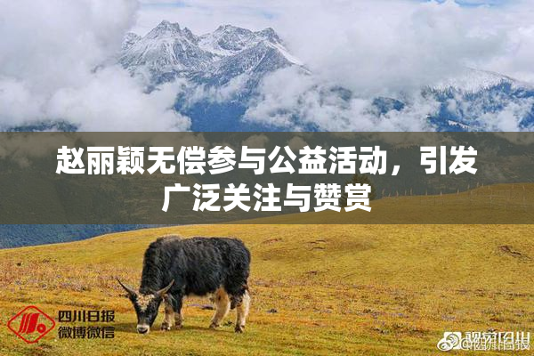 赵丽颖无偿参与公益活动，引发广泛关注与赞赏