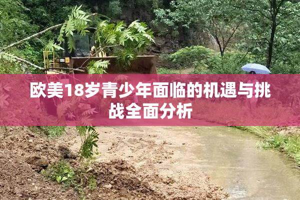 欧美18岁青少年面临的机遇与挑战全面分析