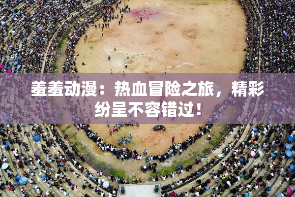 羞羞动漫：热血冒险之旅，精彩纷呈不容错过！