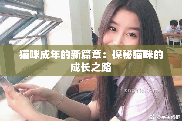 猫咪成年的新篇章：探秘猫咪的成长之路