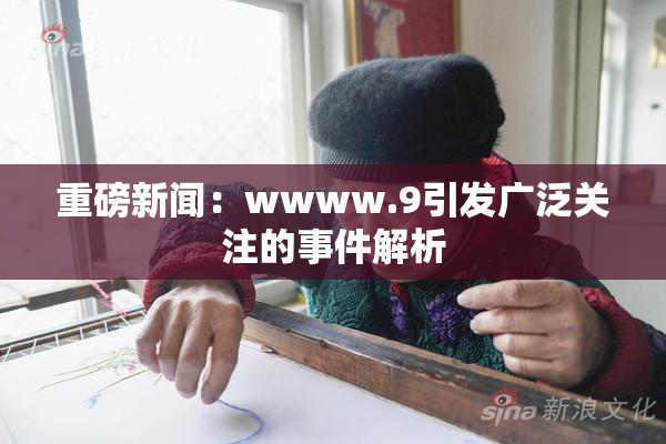 重磅新闻：wwww.9引发广泛关注的事件解析