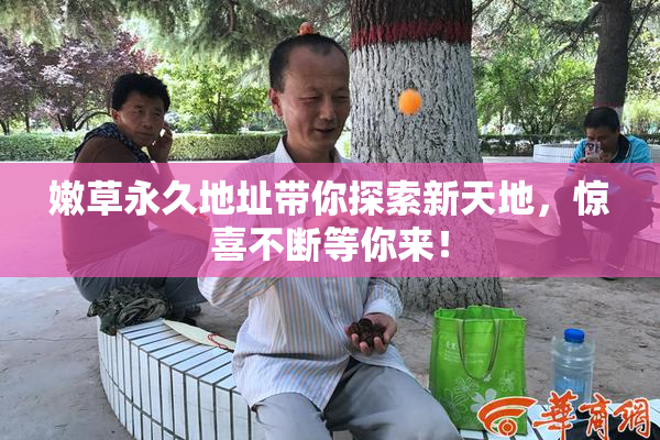 嫩草永久地址带你探索新天地，惊喜不断等你来！